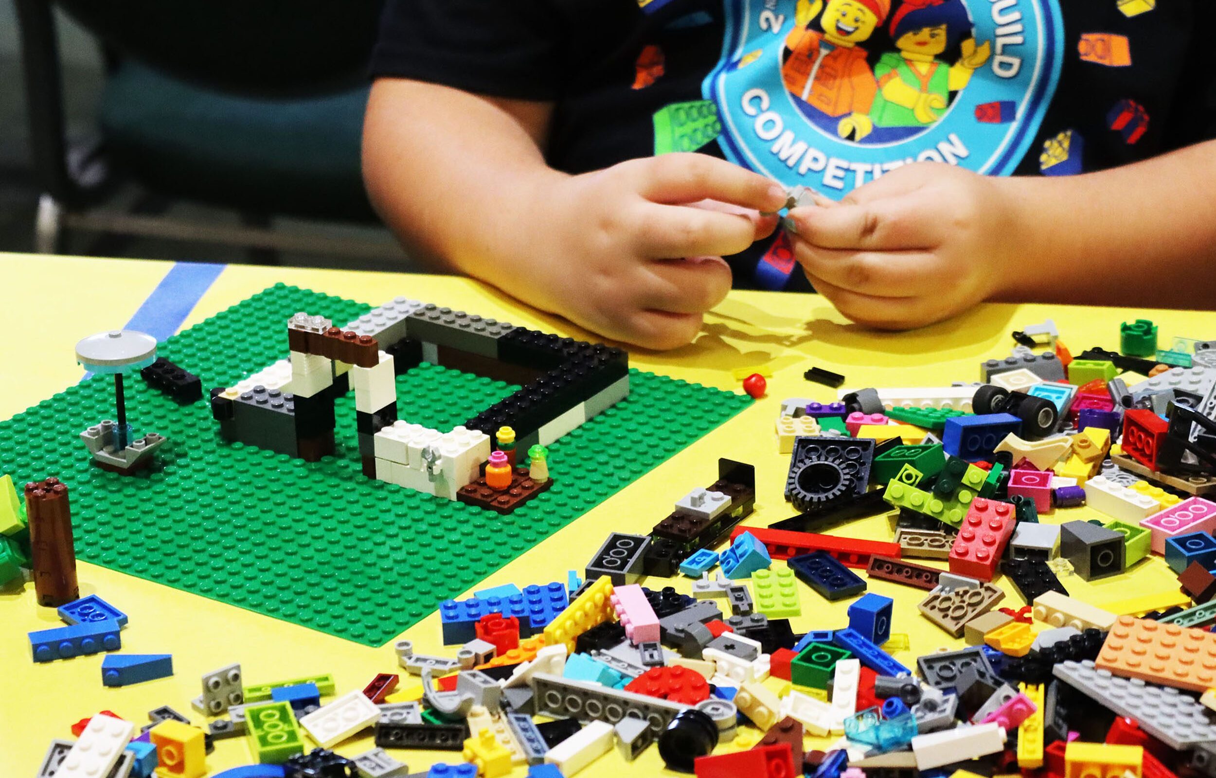 LegoBuild2024.2
